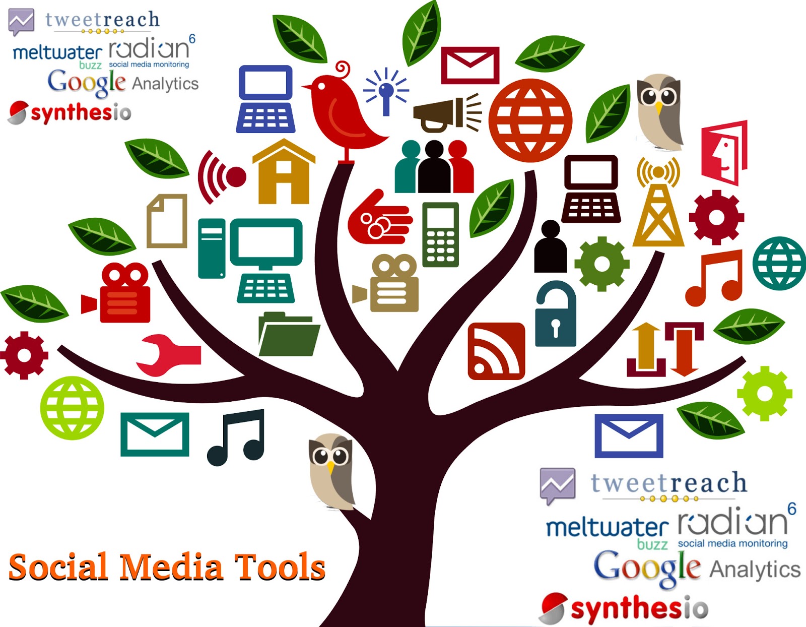 video tools for social media